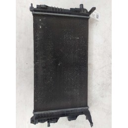 214105378R Radiatore acqua...