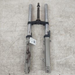 Forcella sospensioni...