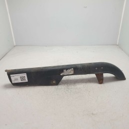 Paracatena carter...