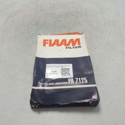 PA7125 FIAAM filtro aria...