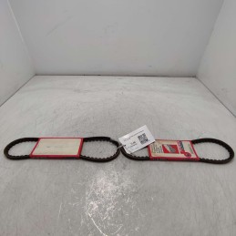 11.9X768 2xpzCinghia...