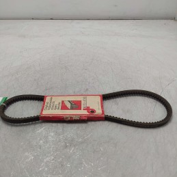 11.9X876 Cinghia ausiliare...