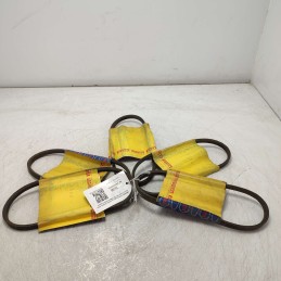 46223601 5XPZ Cinghia...