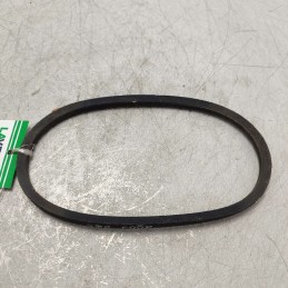 4003 123795 Cinghia...