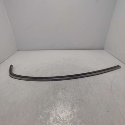 Raschiavetro cromato ant dx...