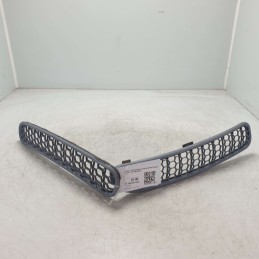 Griglie sottoparabrezza...