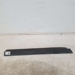 X79561-06000 Modanatura...