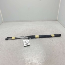 13258179 coppia pistoncini...