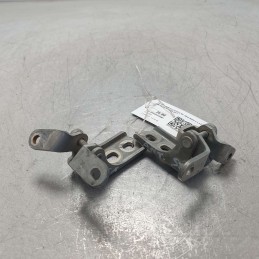 Cerniere portiera anteriori...