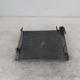 101203 Radiatore acqua...