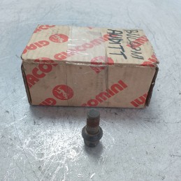 Serie 20 bulloni ruote...