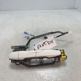 Maniglia esterna portiera...