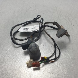 0009939V001000000 Cablaggio...