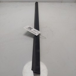 HQ533155 Raschiavetro...