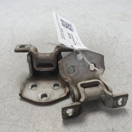 Cerniere sup e inf portiera...