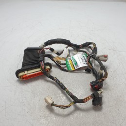 56050719AE Cablaggio...