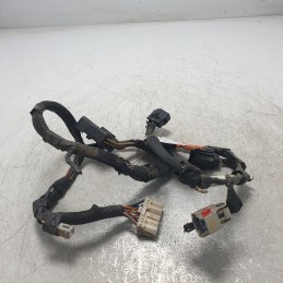 56042219AG Cablaggi...