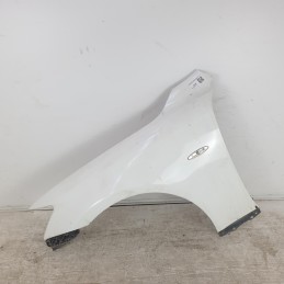 5380253050 Parafango...