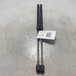 8A61A406A10AC Pistoncini...