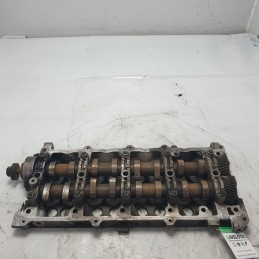 98014746 Sede albero a...