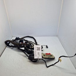 AH4214631ZAA Cablaggio...