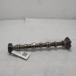 53622901 Albero a camme...