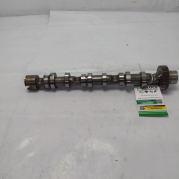 53623001 Albero a camme...