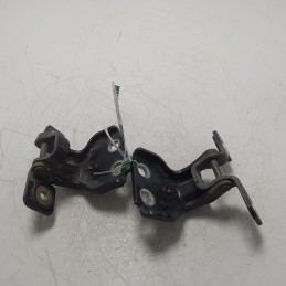 55135575AF Cerniere sup inf...