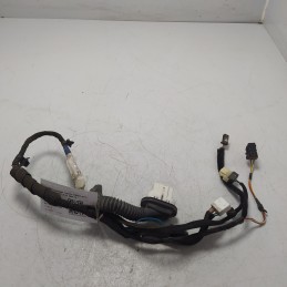 918203E011 Cablaggio...