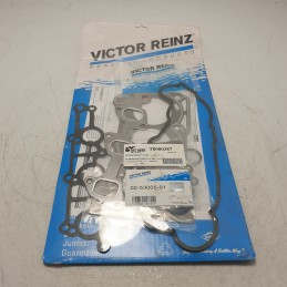 02-53005-01 REINZ...