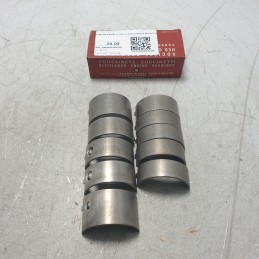 4192 M+0.50 Bronzine di...