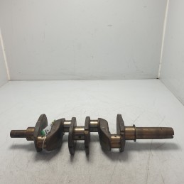 12G89 albero motore a...