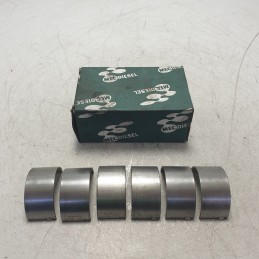 31131173 Bronzine...