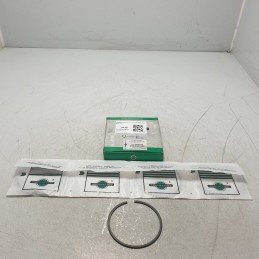 FIN098RS06 segmenti motore...