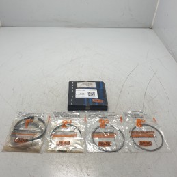 D.91.48 fasce elastiche...