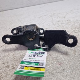 Cerniere portiera ant SX...