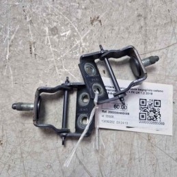 Cerniere portellone baule...