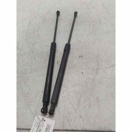 Coppia pistoncini aste di...