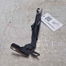 Cerniera cofano motore ant...