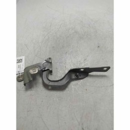 Cerniera cofano motore...