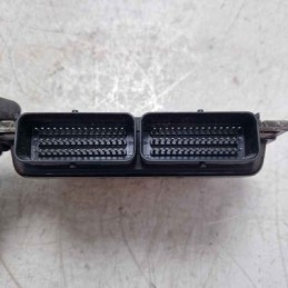 Centralina ecu motore...