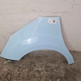 Fianchetto parafango ant SX...