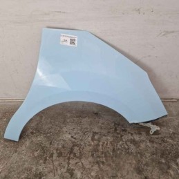 Fianchetto parafango ant DX...