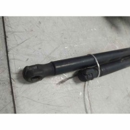 Coppia pistoncini molle...