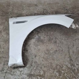 Fianchetto parafango ant DX...