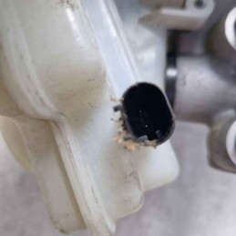 Servofreno amplificatore...