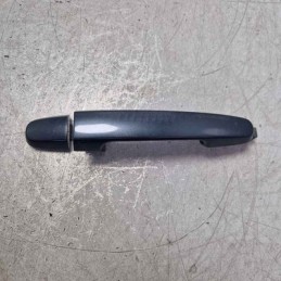 Maniglia esterna portiera...