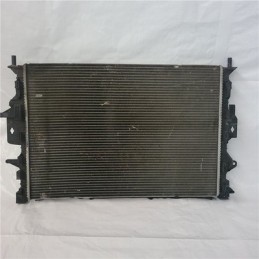 31293689 radiatore acqua...