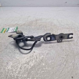 Cerniera cofano motore ant...