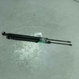 Molle a gas pistoncini aste...